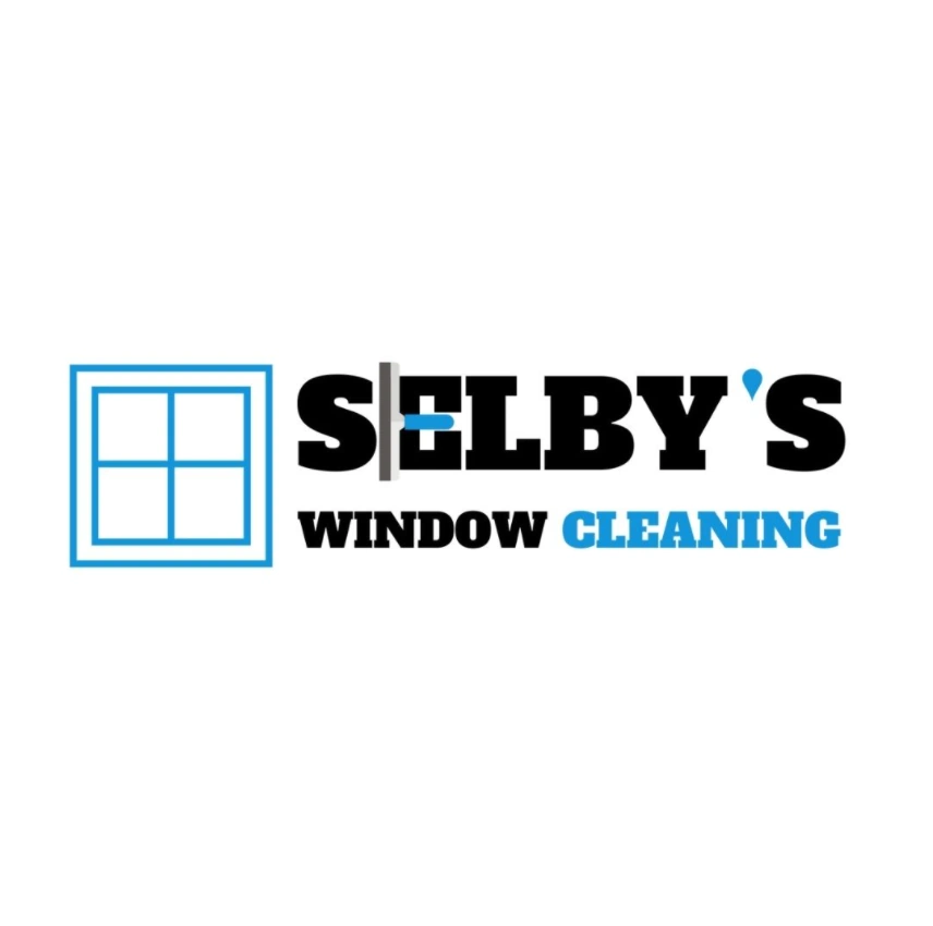 Window Cleaner logo design services Sunshine Coast QLD Australia
